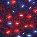 emergency blue and red lights.jpg