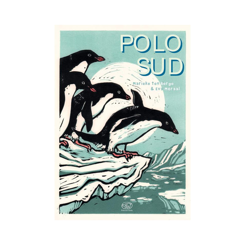 Polo Sud