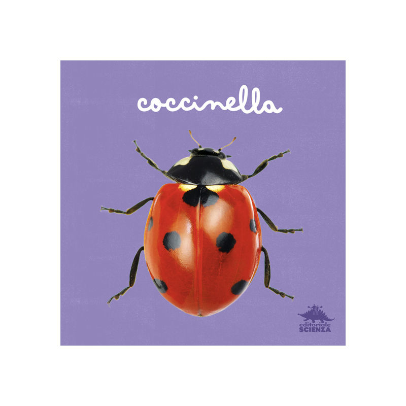 Coccinella