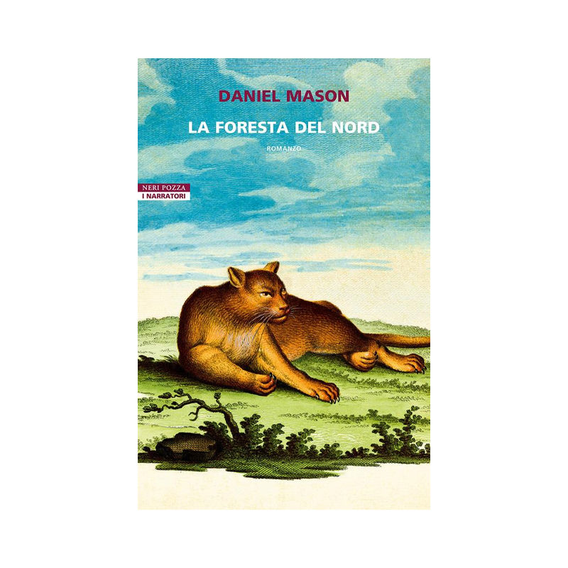 La foresta del Nord