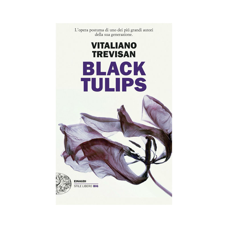 Black tulips