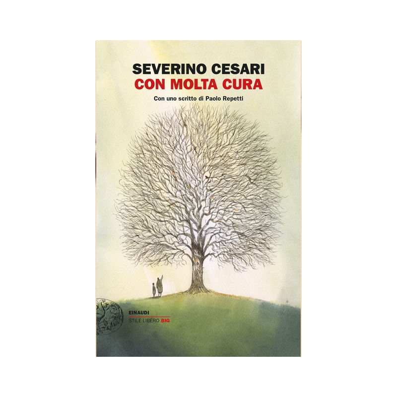 Con molta cura. La vita, l'amore e la chemioterapia a km zero. Un diario