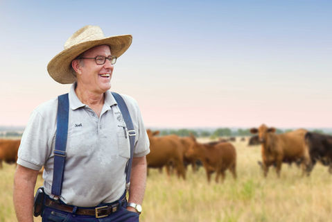 Image source: plainvalues.com/beginnings-polyfacefarms-joelsalatin/