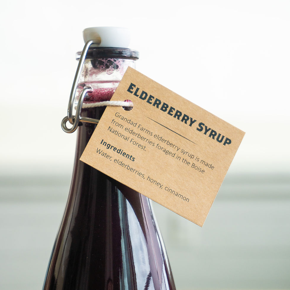 Thumbnail: Elderberry Syrup