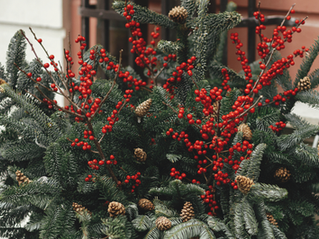 Elevate Your Entry During the Holidays with Seasonal Décor