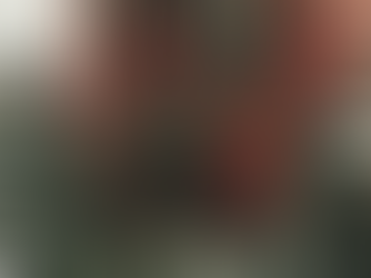 Elevate Your Entry During the Holidays with Seasonal Décor