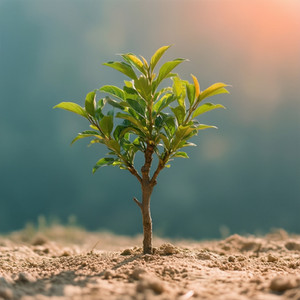 Emotional Resilience Building