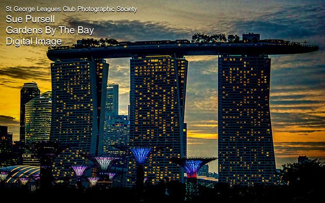 STGPhoto-IE201908-gardensbythebay.jpg