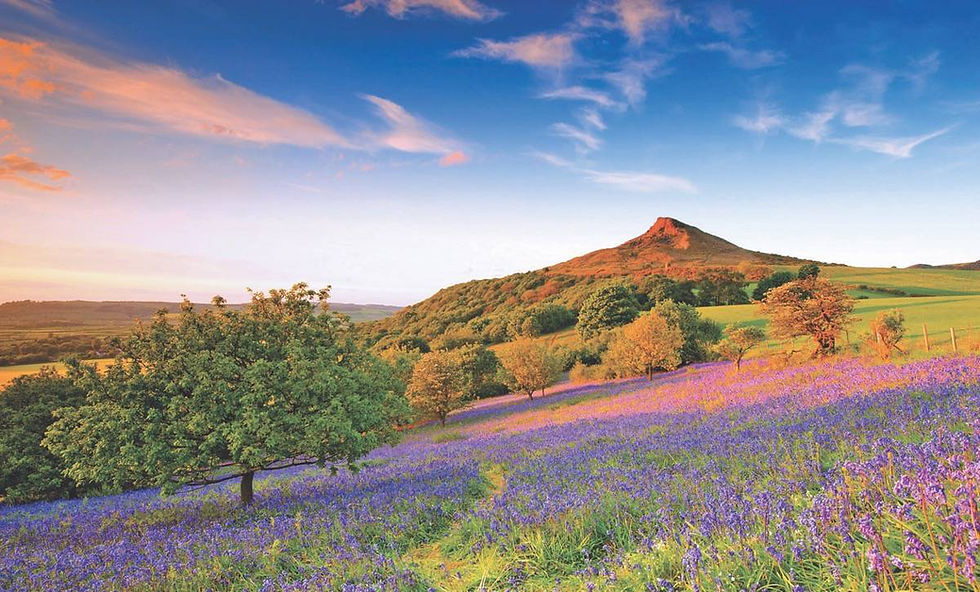 Heather Hotel North York Moors