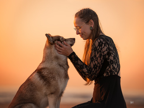 Julia houdt het gezicht van husky Koyo vast en kijkt haar aan tijdens een golden hour hondenfotoshoot op het strand in Noord-Holland