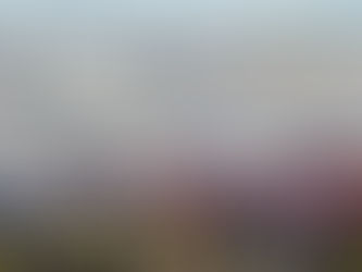 Ante bloqueo al AICM por la CNTE, aerolíneas advierten caos