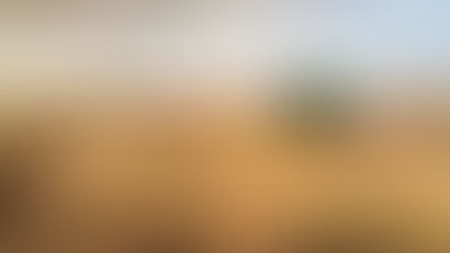 Kremlin presenta medidas para exportación de grano ucraniano