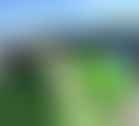 AMLO acepta pliego petitorio de maestros