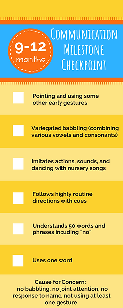 Communication Milestone Checkpoints (2).