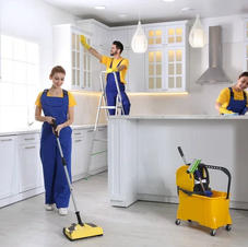 Deep Cleaning 'DeLuxe'