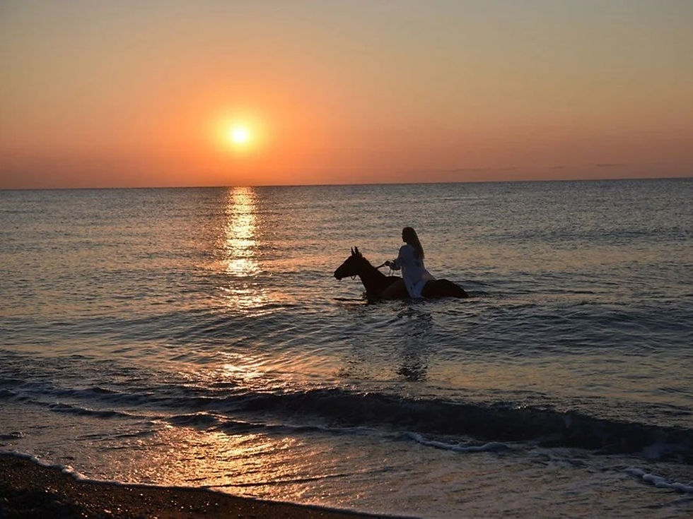 Thumbnail: Belek/Lara Horse Riding at Sunset