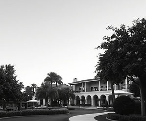 Luxury resort image in monochrome with trees and a close up shot.jpg