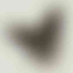 Untitled Project
