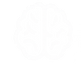Brain.png