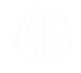 Brain.png