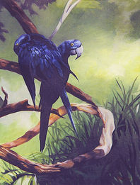 original oil, 16x20 by Debi Davis