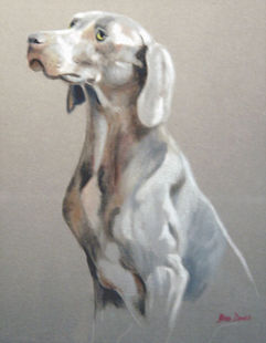 dog portrait by Debi Davis