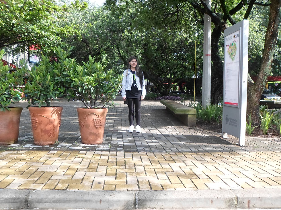 Figura igual que el fondo