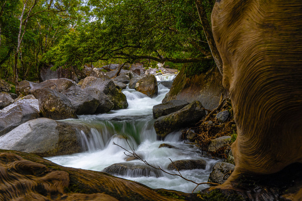 mar24creek2