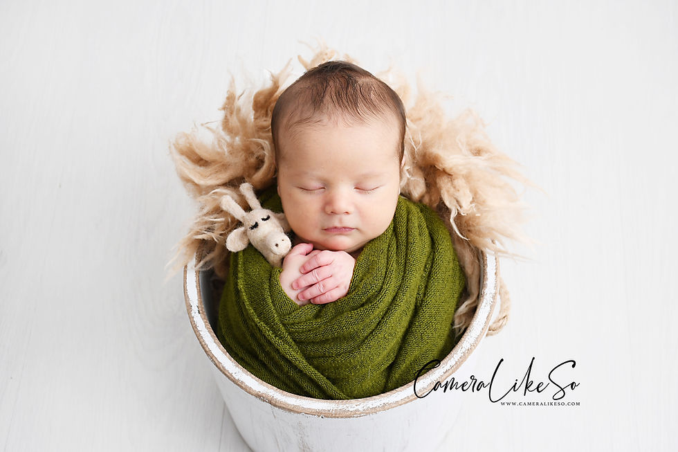 ipswichnewbornphotographerbaby