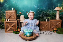 ipswichcakesmashphotographer