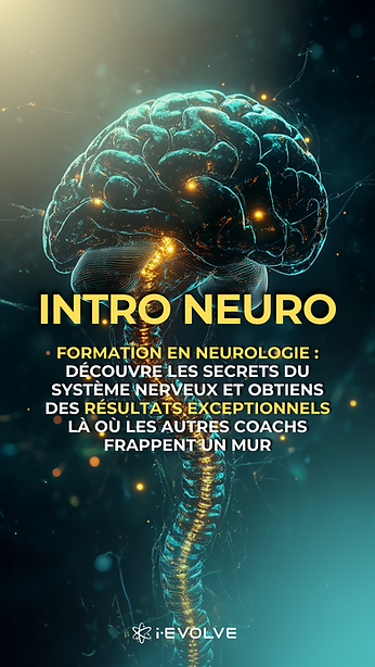 Intro Neuro Vertical 2.0.png