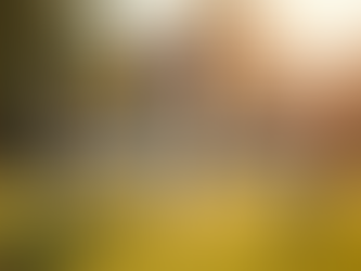 Excelling in Agility Training for Dogs