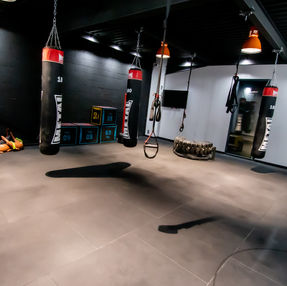 Expace Boxing, Carré Sud
