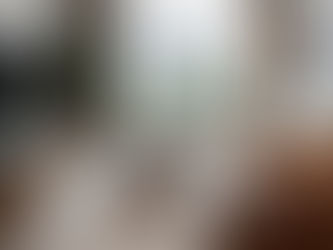 Cozy living room with a beige sectional sofa, colorful pillows, and an orange throw. There's a round coffee table, plants, and large windows.