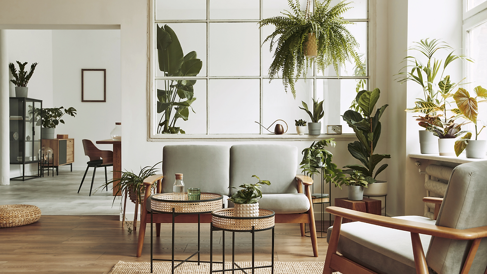 Bright living room with gray sofas, lots of green potted plants, wicker tables, and large windows. Modern and serene atmosphere.