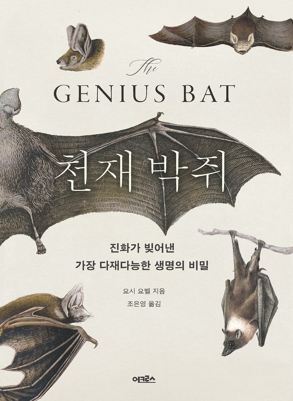 Korean THE GENIUS BAT_cover.jpg