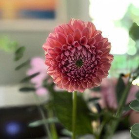 H&H flowers 4.jpeg