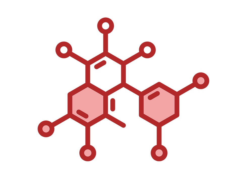 Design sem nome (16).png