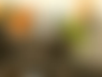 Pomoc těm, kdo pomáha: projekt AMIGA pro pomáhající profese