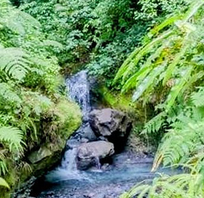 Tour por la selva tropical | Cañón volcánico