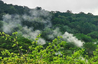 Tour Actividad Volcánica Rincón de la Vieja