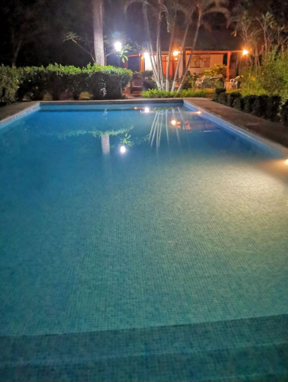 Casa Palma Real Piscina nocturna 1