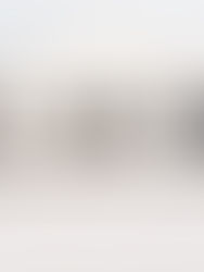 Kierstan and Kyle standing on the front stairs in the winter during their Berkshires Winter Engagement session at the Clark Art Institute