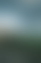 Writing as Witness: An Interview with Beth Brown Preston