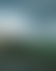 Writing as Witness: An Interview with Beth Brown Preston