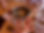 SilkwormAndChildren_1200.jpg
