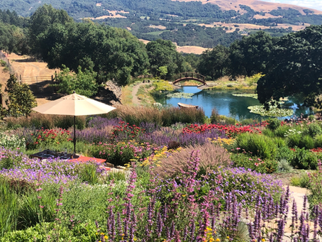 5 Wineries with Gorgeous Garden Views