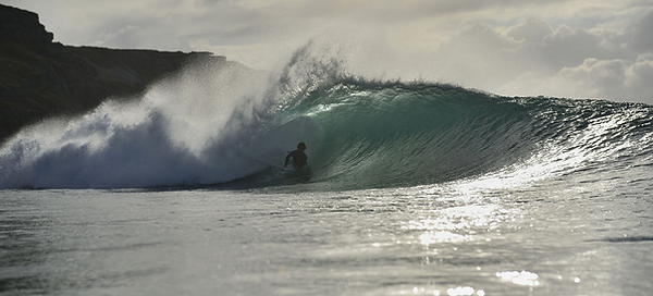 surf 2.png