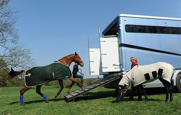 Impacts of Transporting Horses: Sideways vs. Face-Forward in a Horse Box