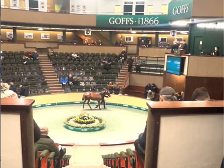 The Importance of Veterinary Physiotherapy for Weanlings Post-Sale